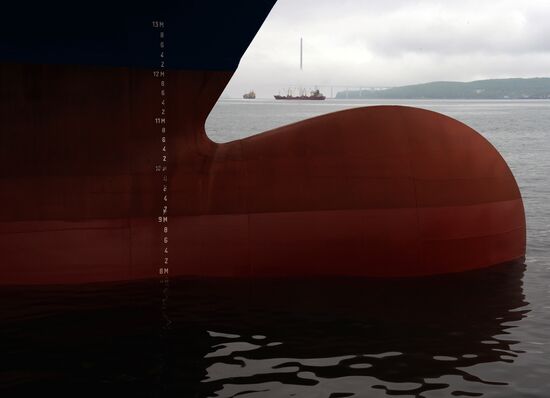 Fesco Diomid container ship arrives in port of Vladivostok