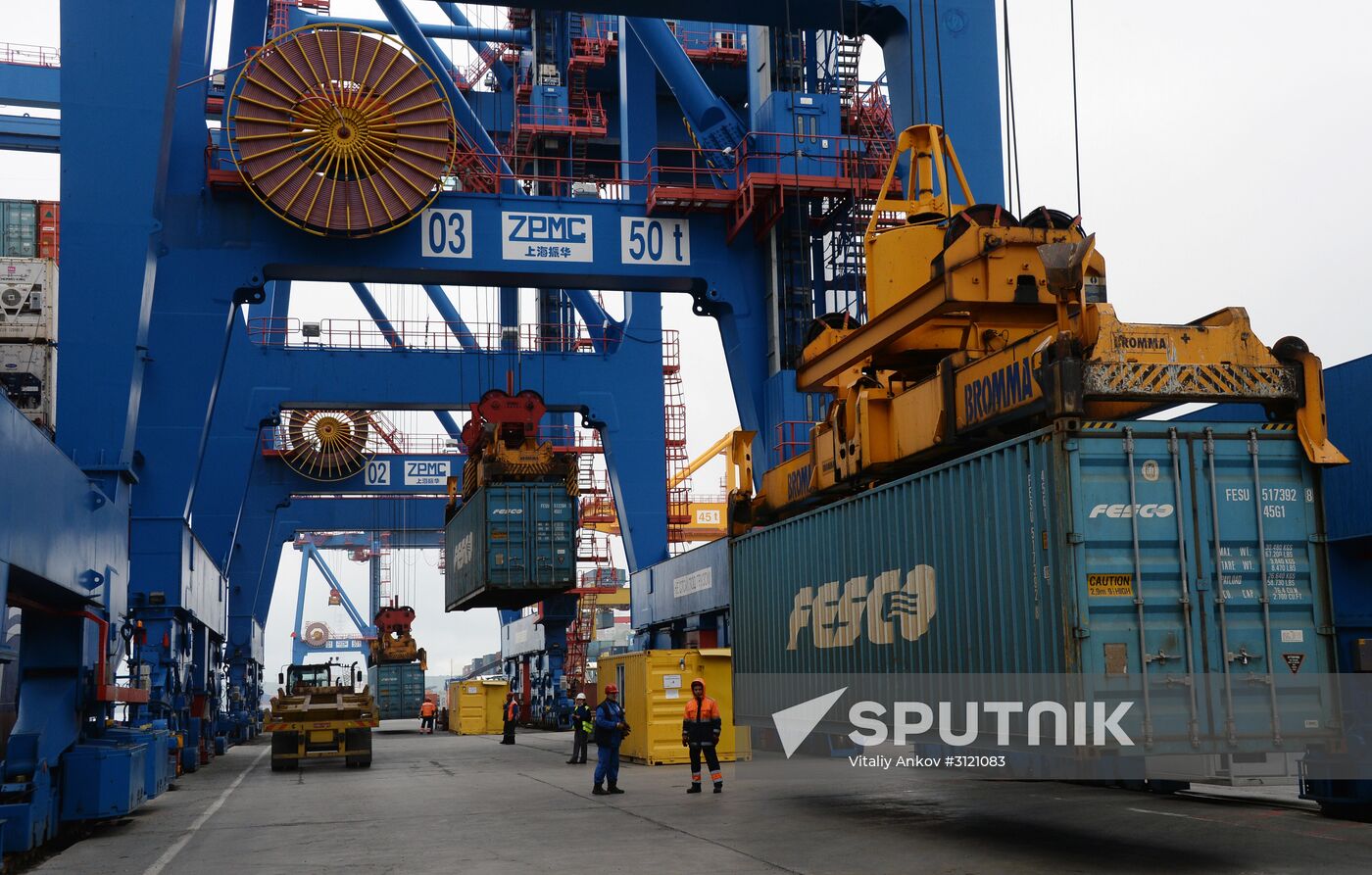 Fesco Diomid container ship arrives in port of Vladivostok