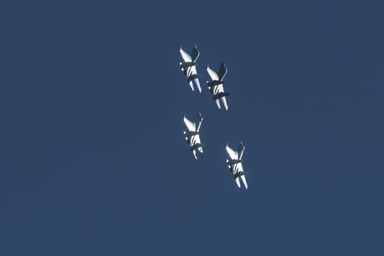 Events to mark 75th anniversary of Day of Establishing the 6th Army of the Air Force and Air Defense in Leningrad Region