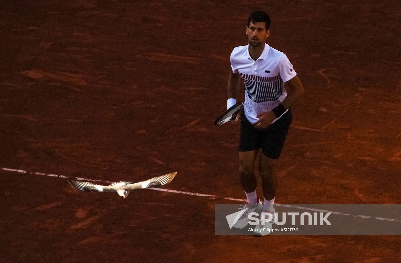 Tennis. Roland Garros. Day Eight