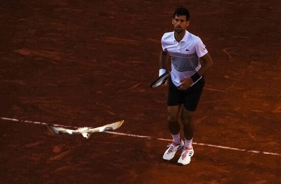 Tennis. Roland Garros. Day Eight