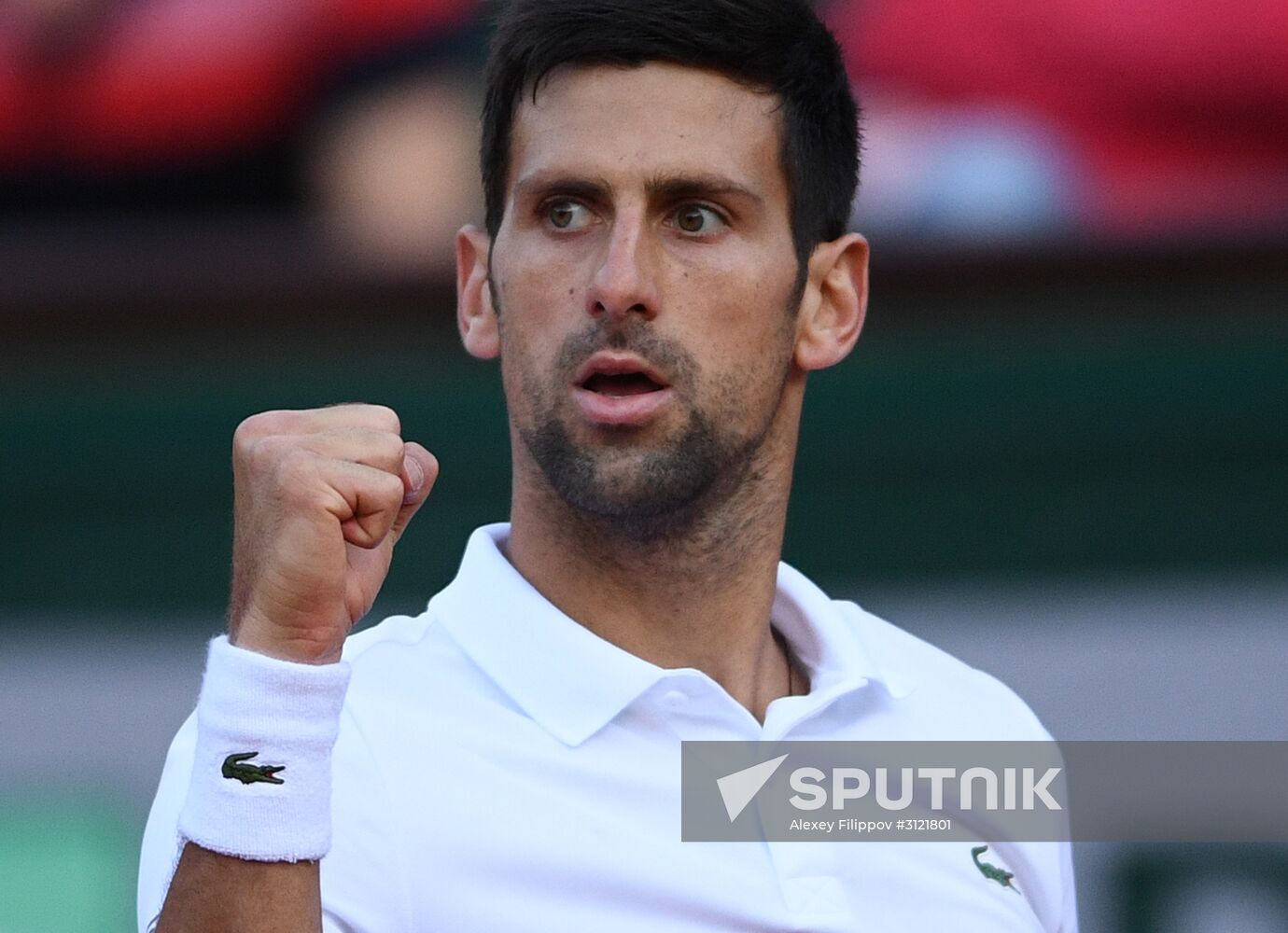 Tennis. Roland Garros. Day Eight