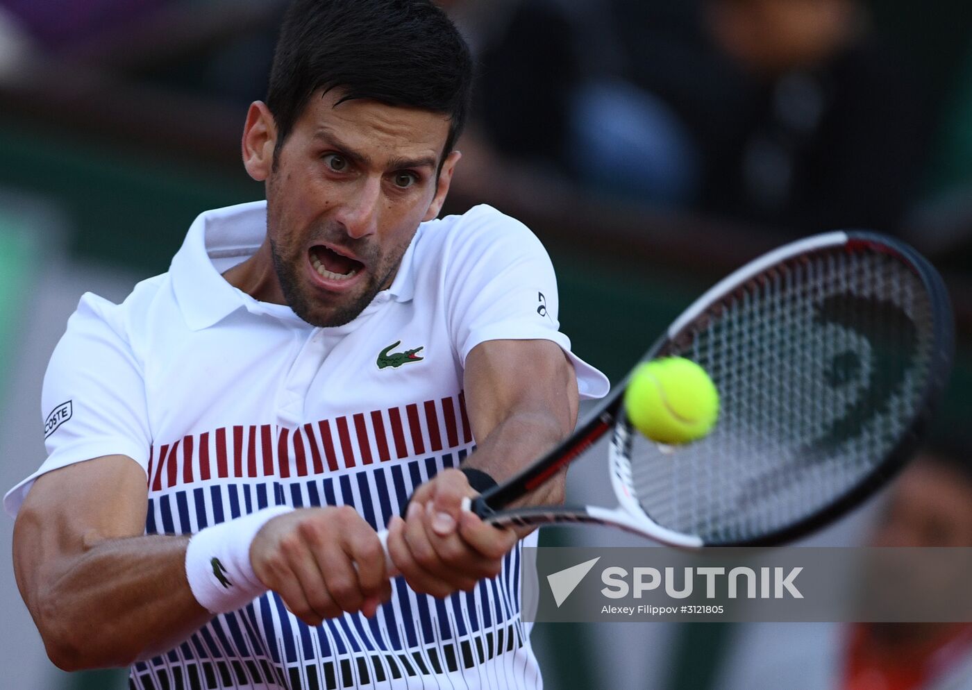 Tennis. Roland Garros. Day Eight