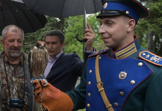 Falcon chicks handed over to Kremlin Commandant's Office