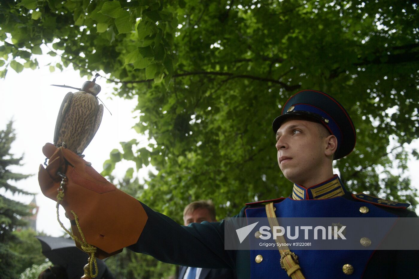 Falcon chicks handed over to Kremlin Commandant's Office