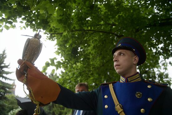 Falcon chicks handed over to Kremlin Commandant's Office