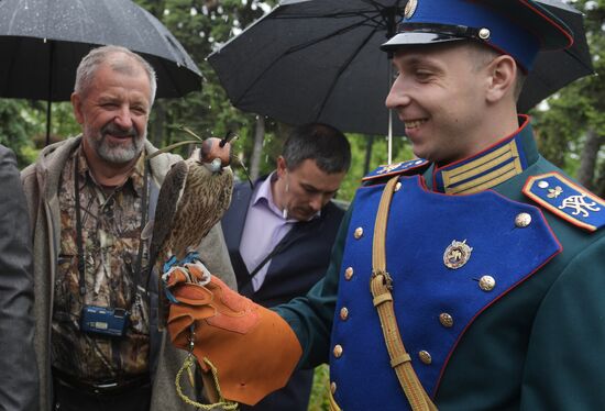 Falcon chicks handed over to Kremlin Commandant's Office