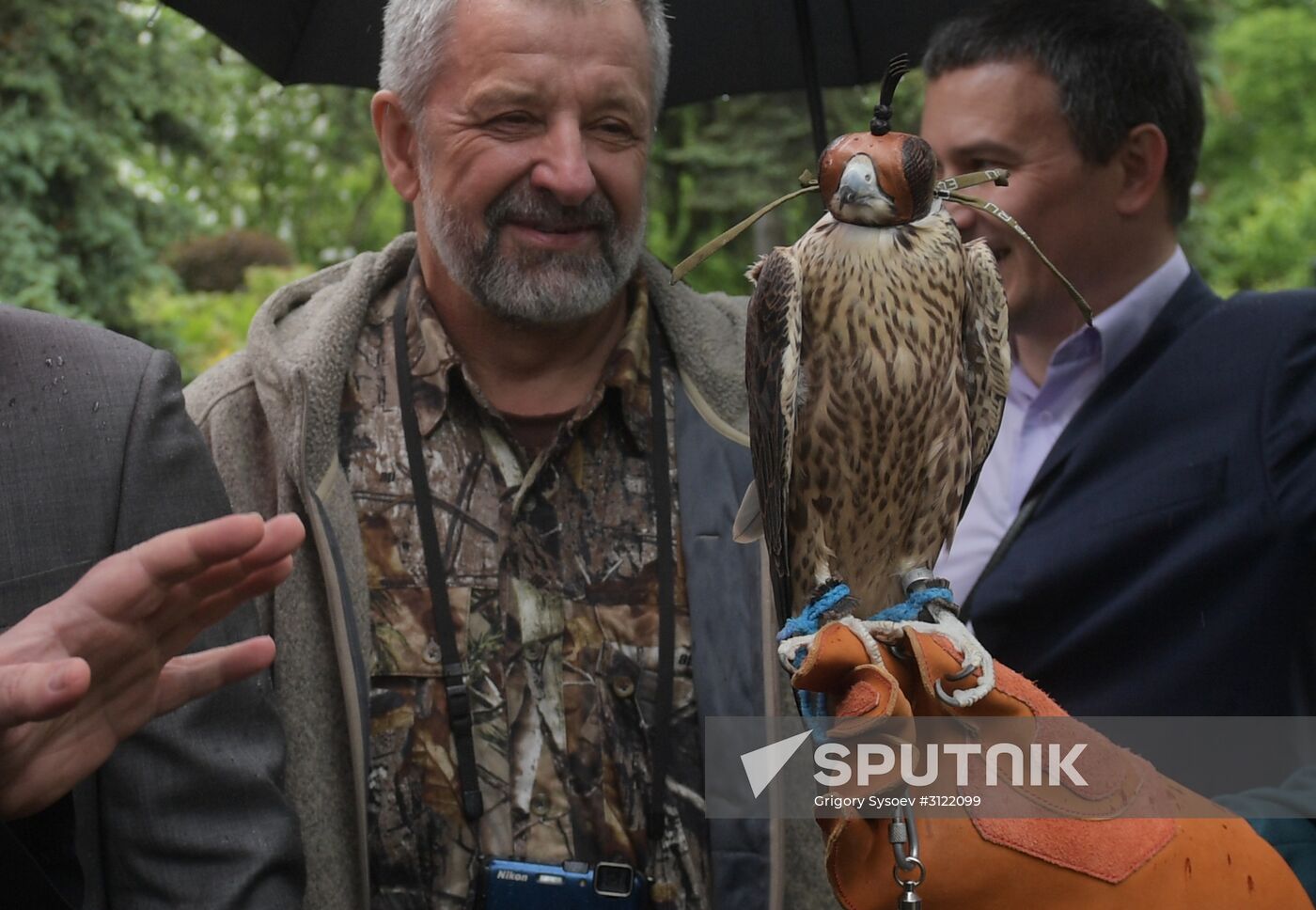 Falcon chicks handed over to Kremlin Commandant's Office