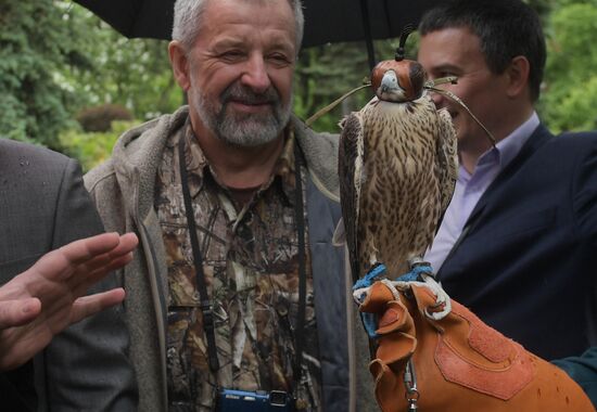 Falcon chicks handed over to Kremlin Commandant's Office