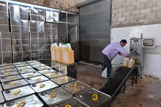 Oil production company in Hama, Syria