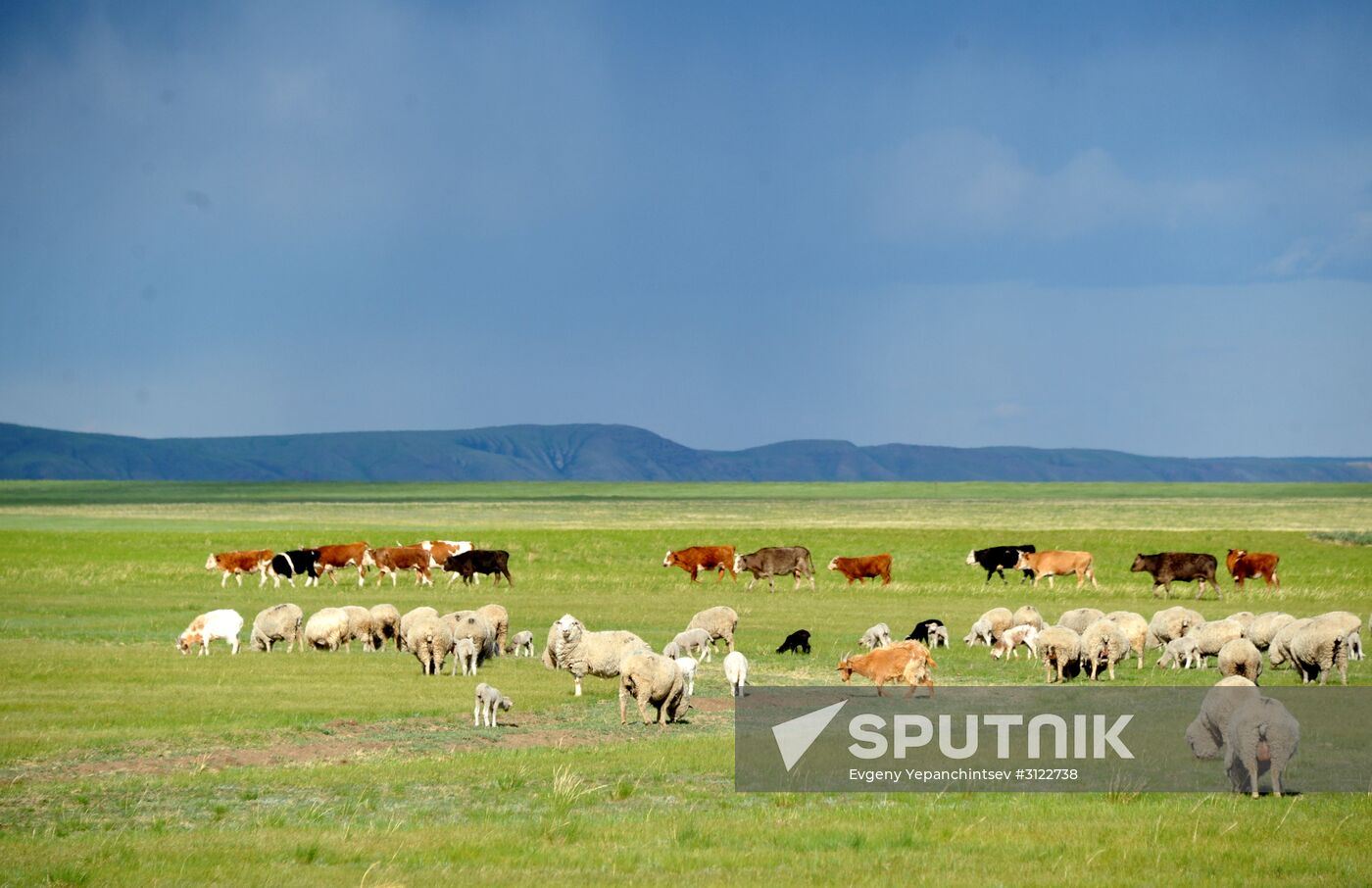 Daursky state nature biosphere reserve in Trans-Baikal Territory
