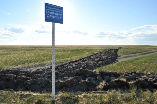 Daursky state nature biosphere reserve in Trans-Baikal Territory