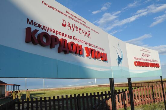 Daursky state nature biosphere reserve in Trans-Baikal Territory