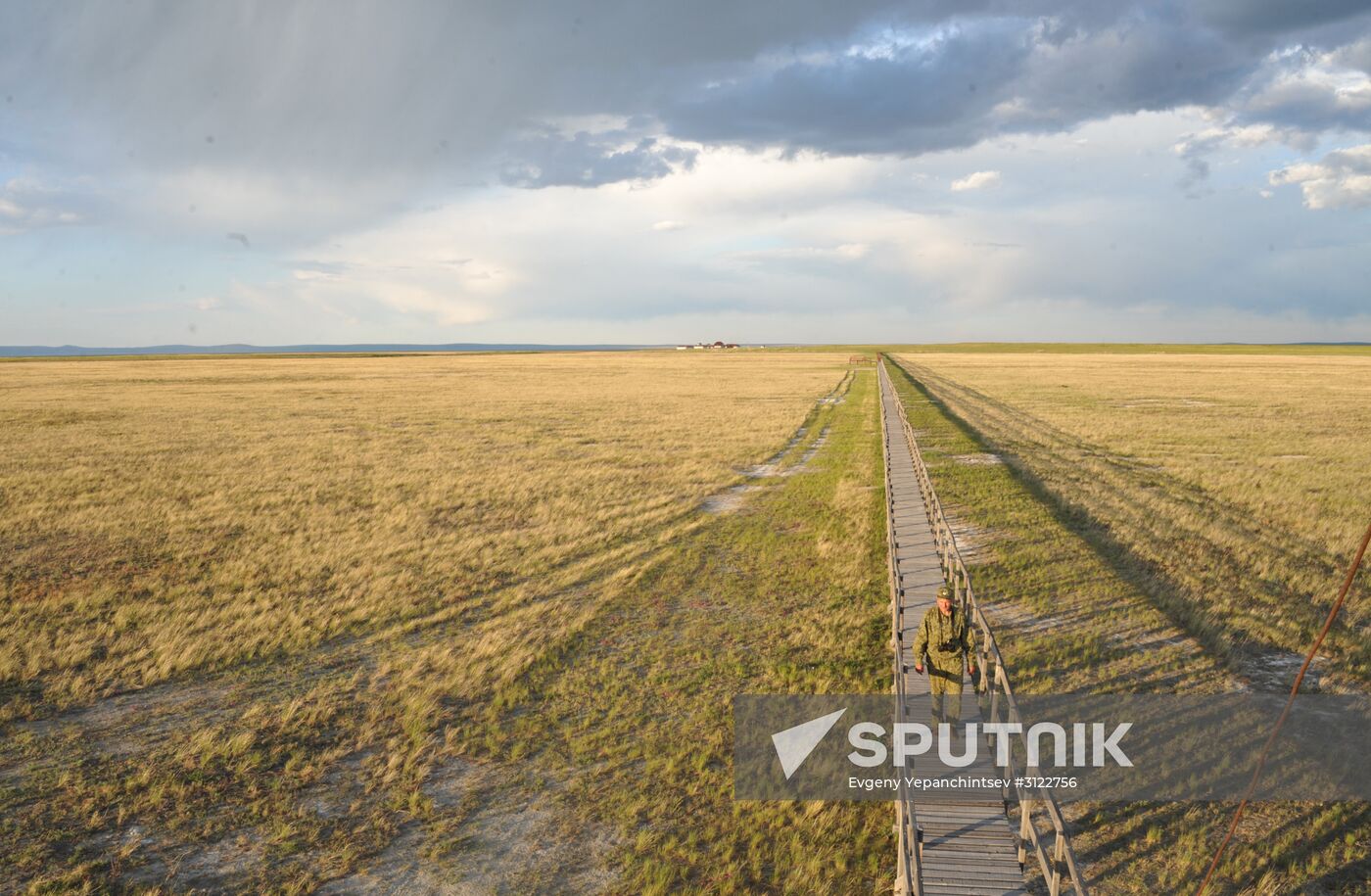 Daursky state nature biosphere reserve in Trans-Baikal Territory