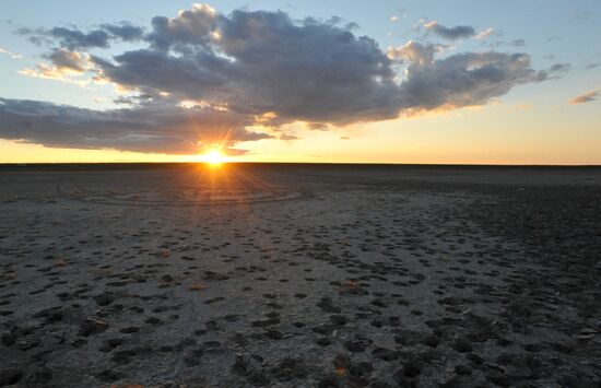 Daursky state nature biosphere reserve in Trans-Baikal Territory