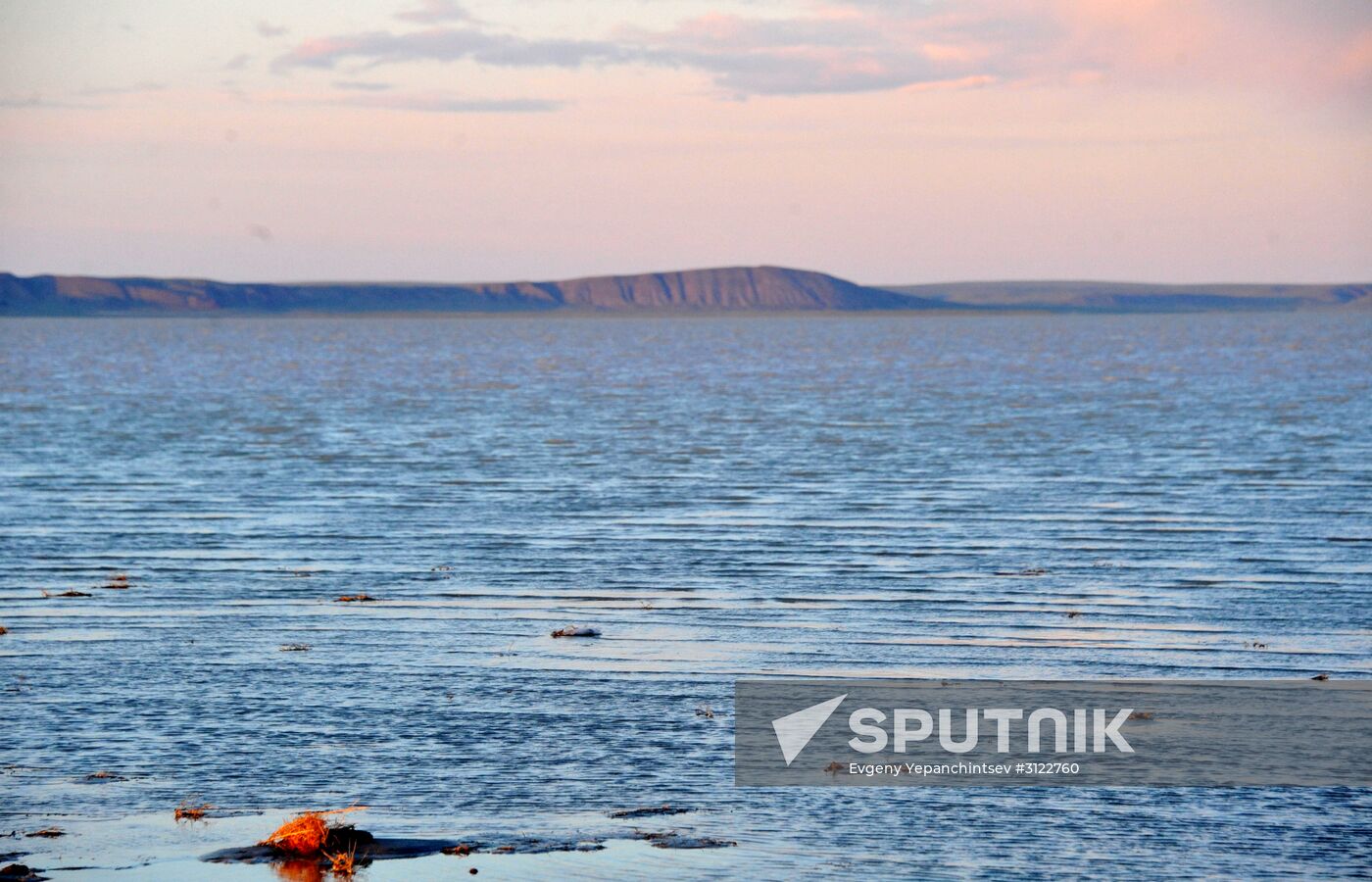 Daursky state nature biosphere reserve in Trans-Baikal Territory