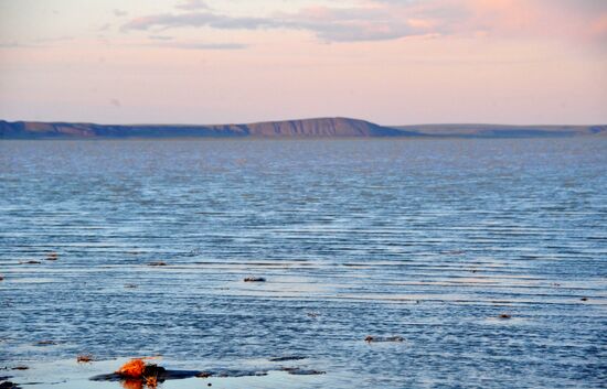 Daursky state nature biosphere reserve in Trans-Baikal Territory