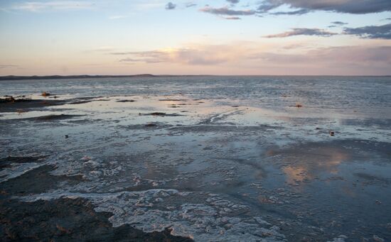 Daursky state nature biosphere reserve in Trans-Baikal Territory