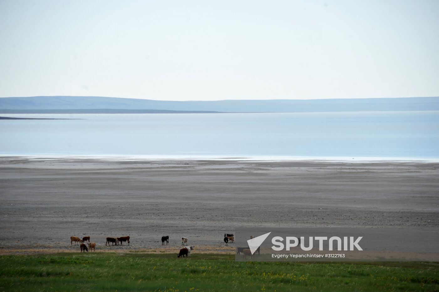 Daursky state nature biosphere reserve in Trans-Baikal Territory