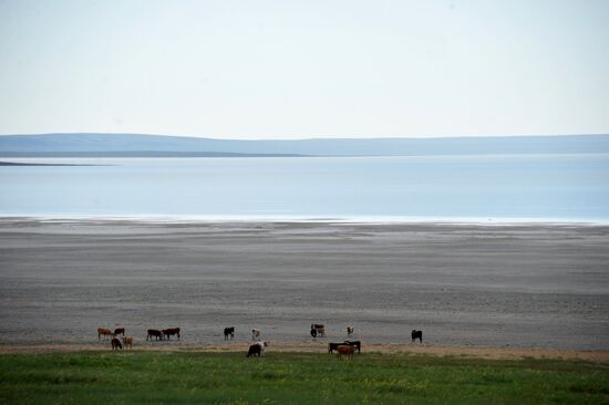 Daursky state nature biosphere reserve in Trans-Baikal Territory