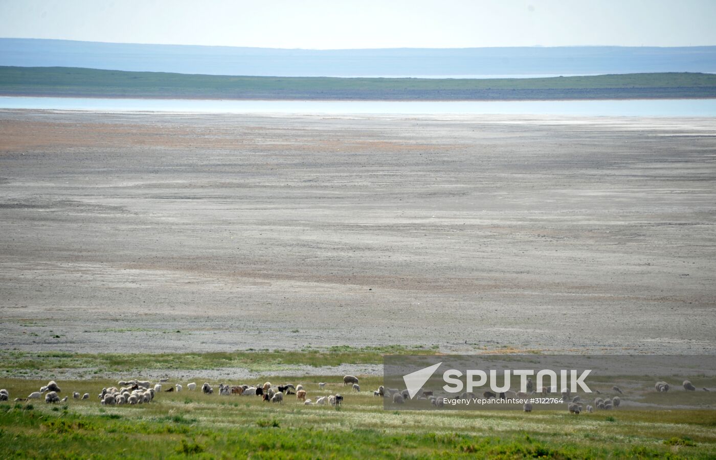 Daursky state nature biosphere reserve in Trans-Baikal Territory