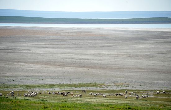 Daursky state nature biosphere reserve in Trans-Baikal Territory