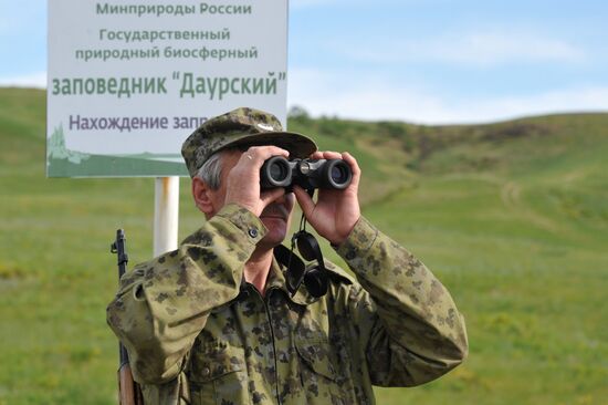 Daursky state nature biosphere reserve in Trans-Baikal Territory