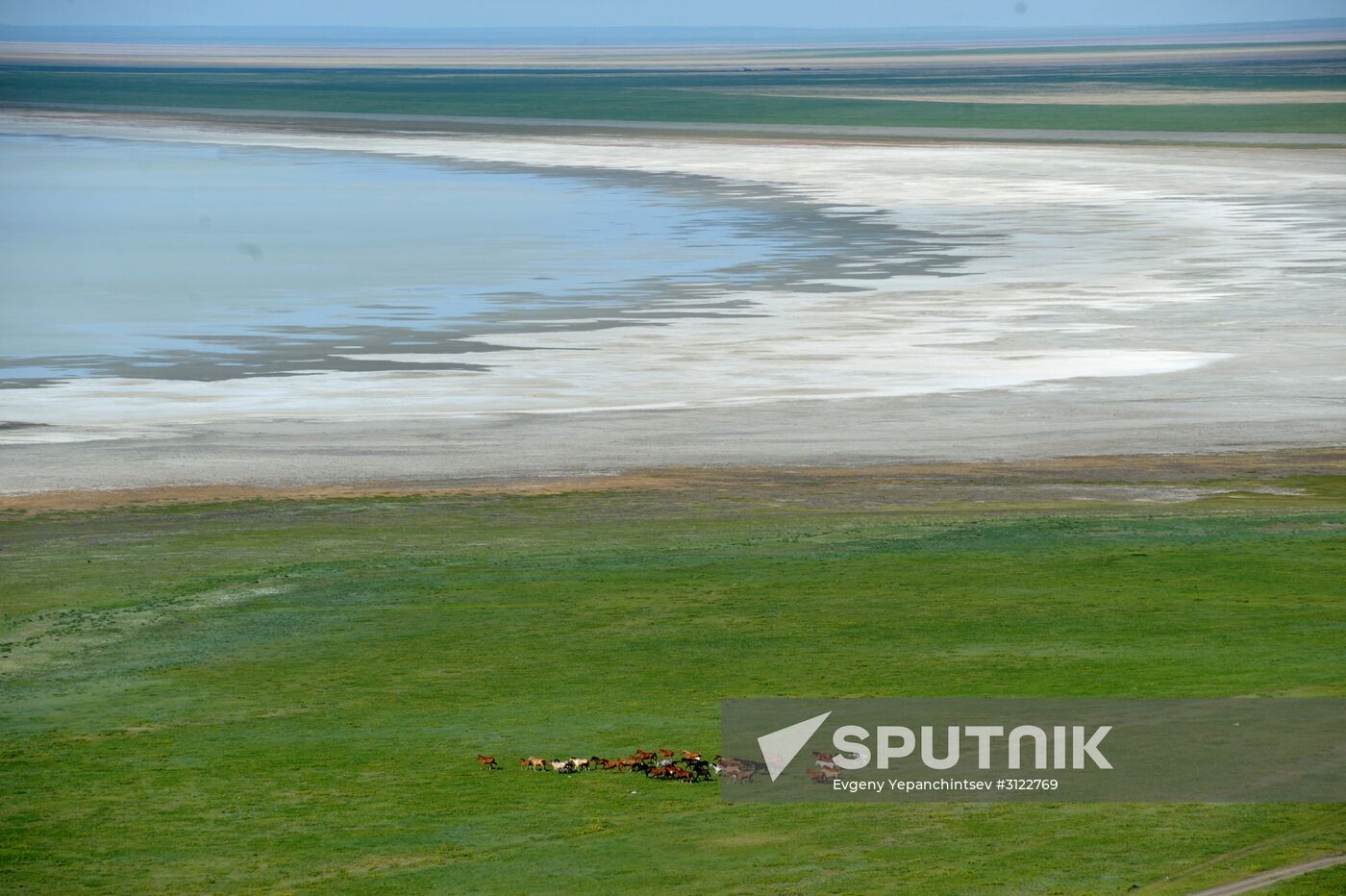 Daursky state nature biosphere reserve in Trans-Baikal Territory