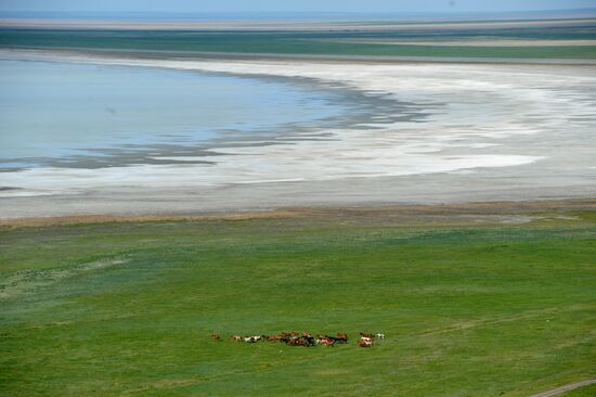 Daursky state nature biosphere reserve in Trans-Baikal Territory