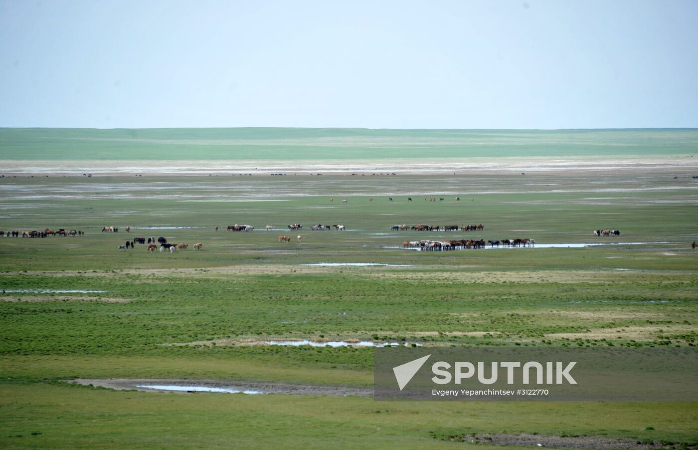 Daursky state nature biosphere reserve in Trans-Baikal Territory