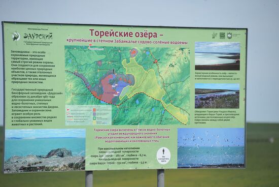 Daursky state nature biosphere reserve in Trans-Baikal Territory