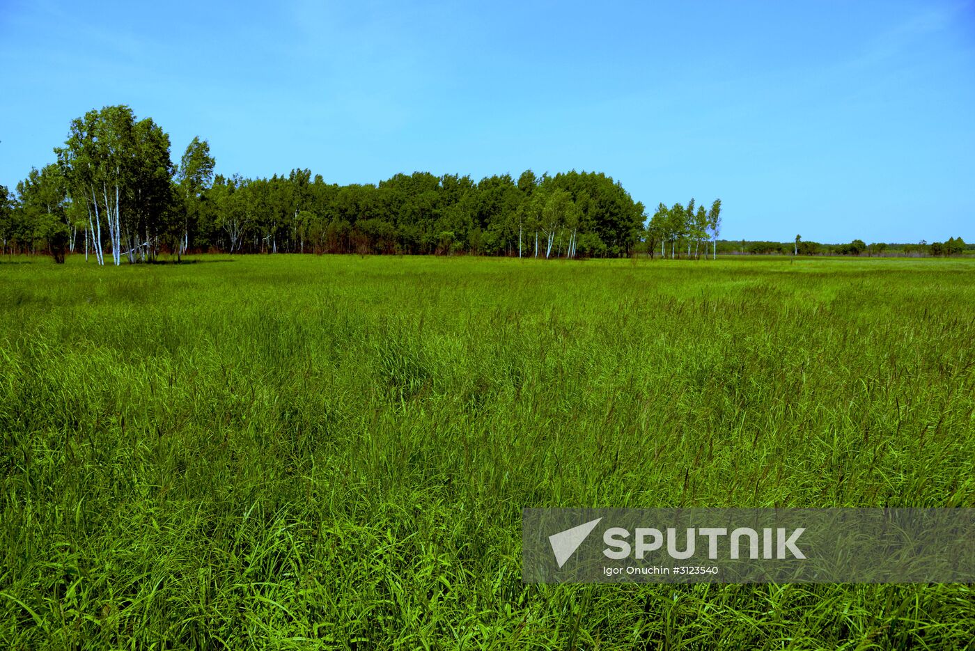 Far Eastern hectare owner Sergei Surovtsev in Khabarovsk Territory