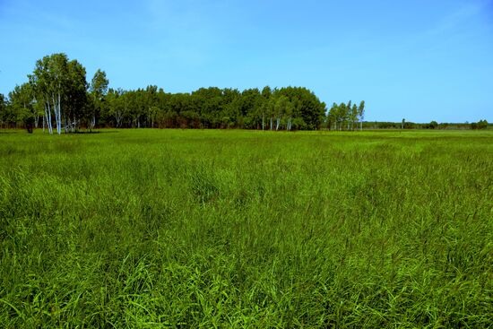 Far Eastern hectare owner Sergei Surovtsev in Khabarovsk Territory