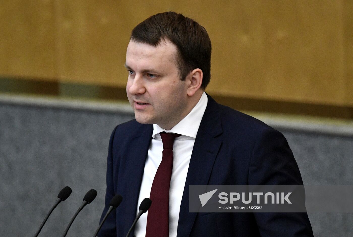 State Duma plenary session