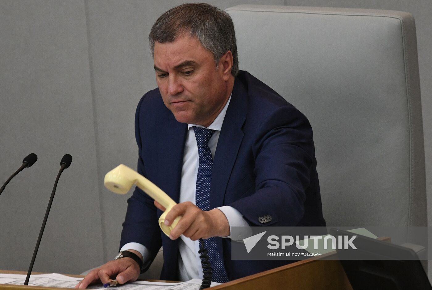 State Duma plenary session