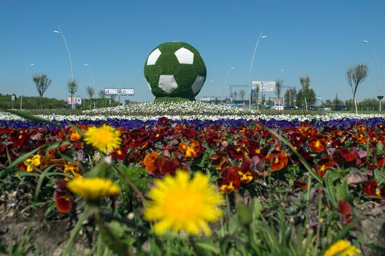 Preparations for 2017 FIFA Confederations Cup