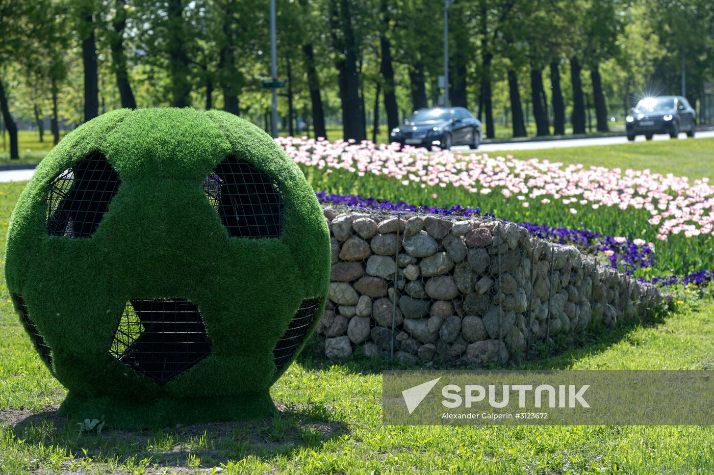 Preparations for 2017 FIFA Confederations Cup
