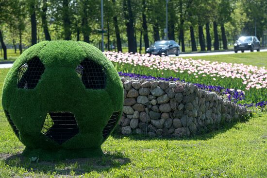 Preparations for 2017 FIFA Confederations Cup