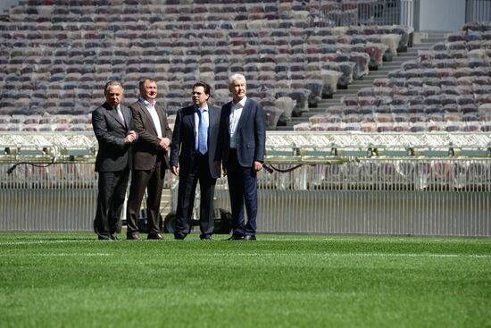 Reconstruction of Luzhniki Grand Sports Arena
