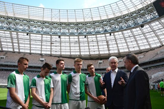 Reconstruction of Luzhniki Grand Sports Arena