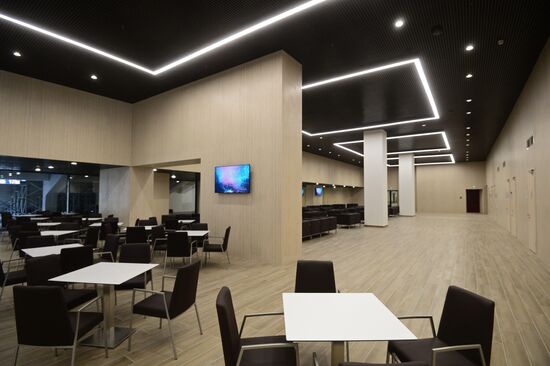 Renovation of Luzhniki Big Sports Arena