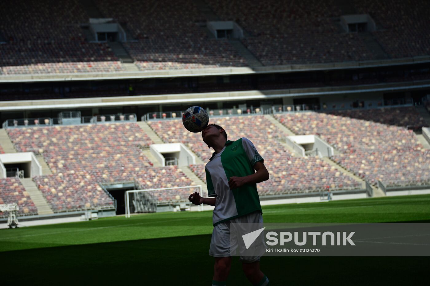 Renovation of Luzhniki Big Sports Arena