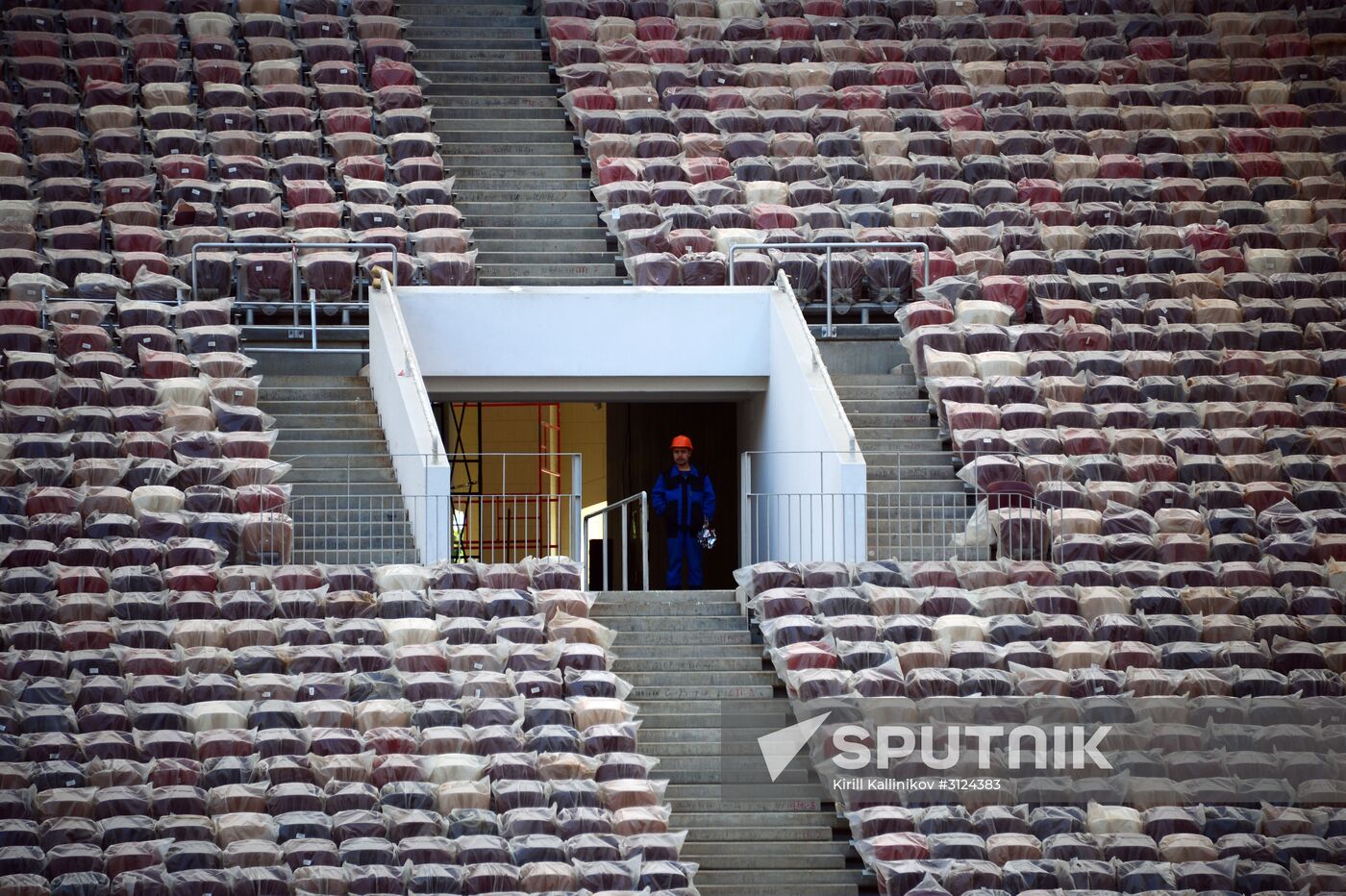 Renovation of Luzhniki Big Sports Arena
