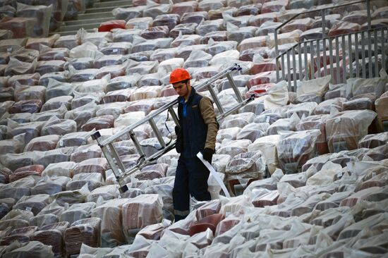 Renovation of Luzhniki Big Sports Arena