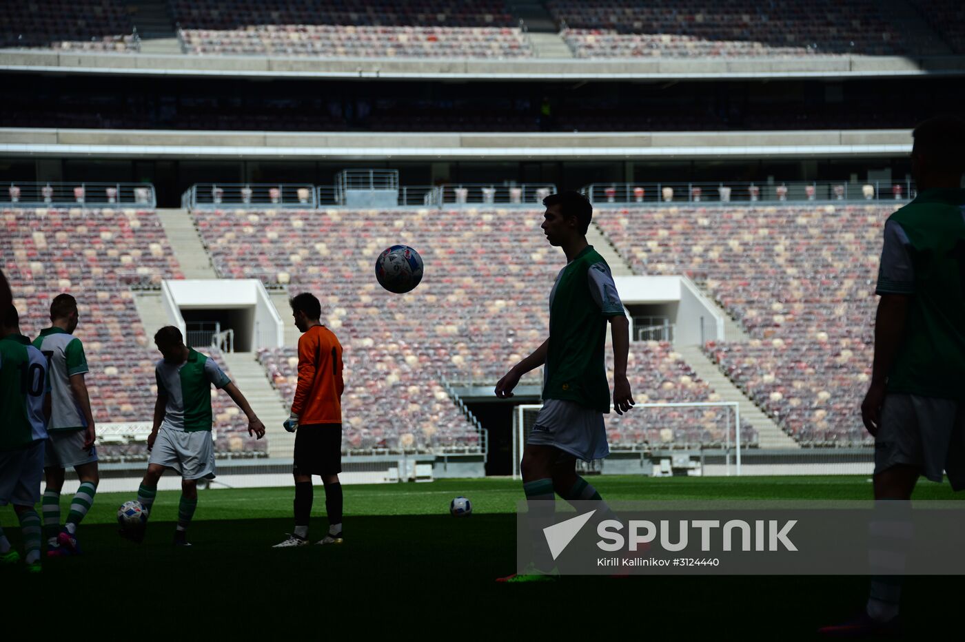 Renovation of Luzhniki Big Sports Arena