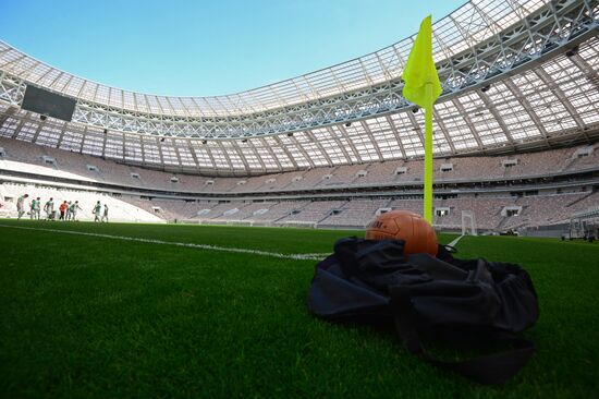 Renovation of Luzhniki Big Sports Arena