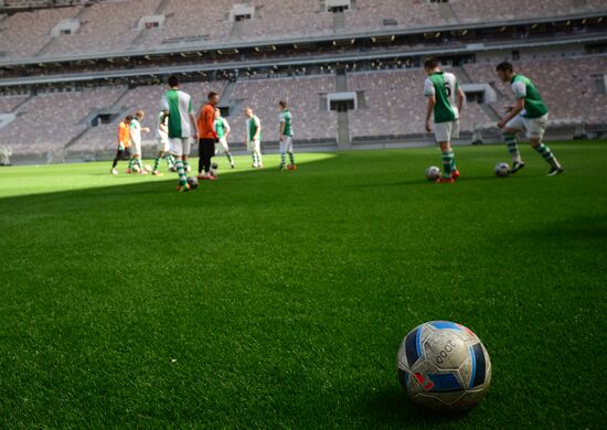 Renovation of Luzhniki Big Sports Arena