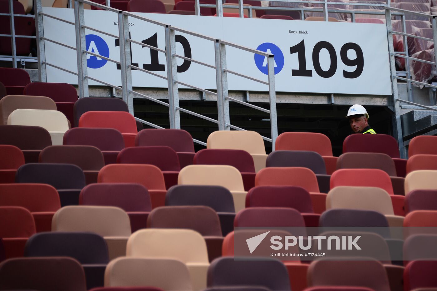 Renovation of Luzhniki Big Sports Arena