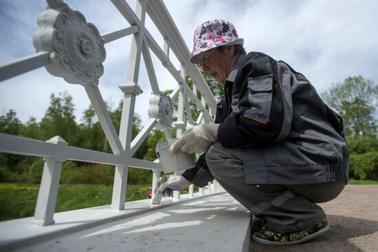 Restoration works in Tsarskoye Selo museum and reserve