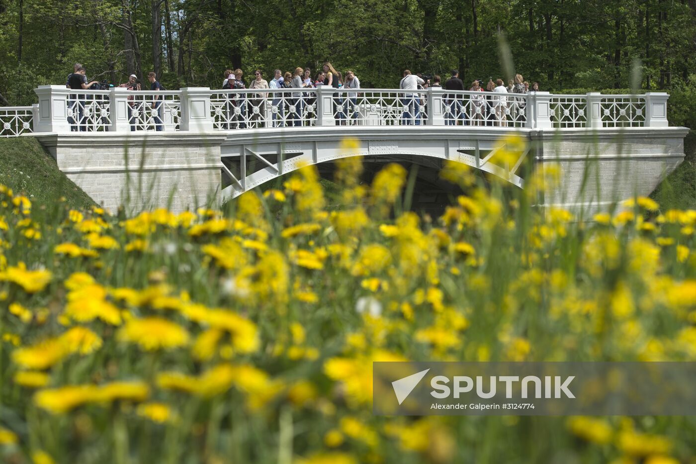Big Lamsky bridge in Tsarskoye Selo museum and reserve